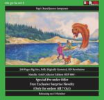 Topi chand jasoos matellic ce(pre order)